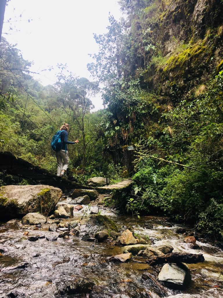 naturaleza