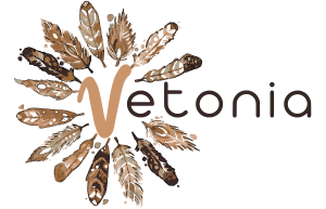 clases de español vetonia
