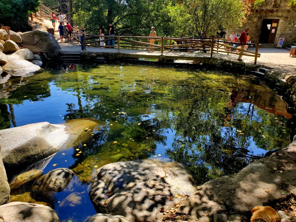 A small natural river